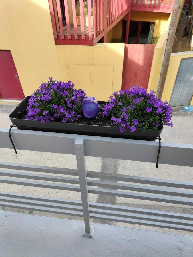 Вілла The Violet House Кошта-Нова Екстер'єр фото